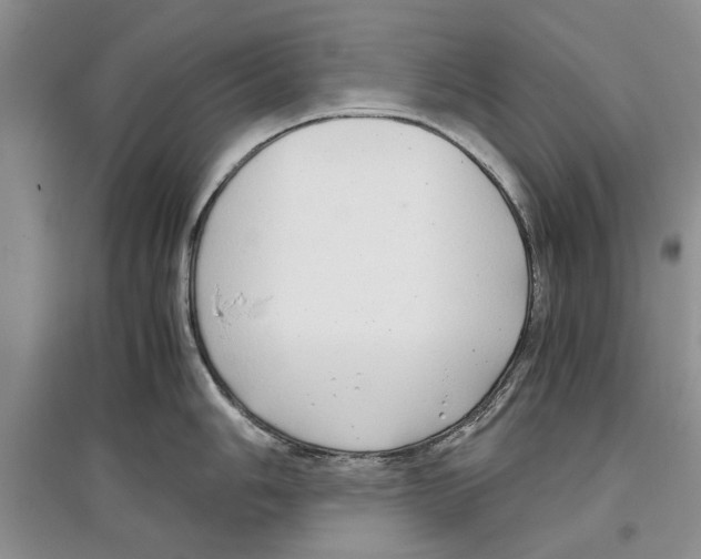 X0000097301006200803141528