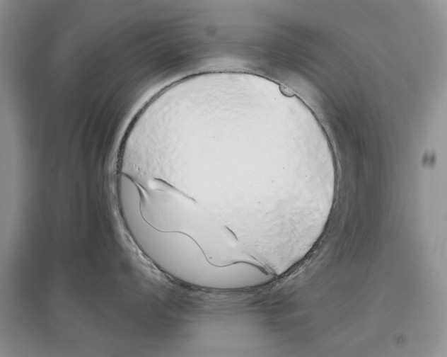 X0000097301008200803141528