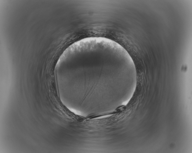 X0000097301009200803141527