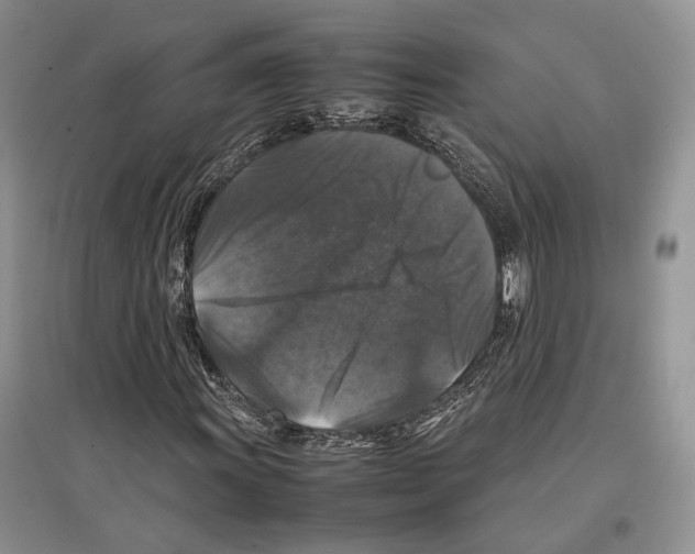 X0000097301011200803141527