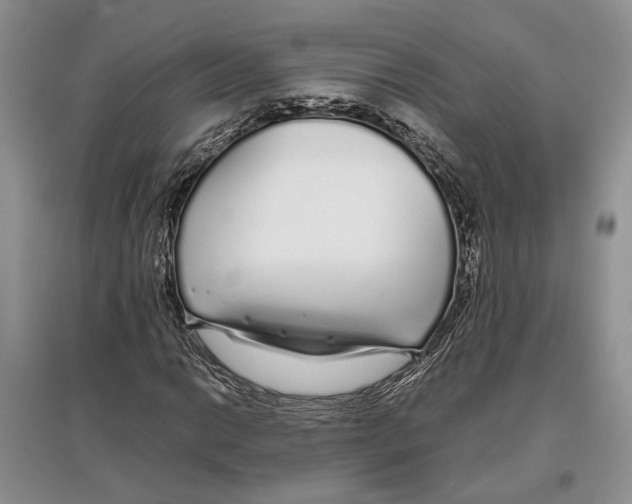 X0000097301014200803141527