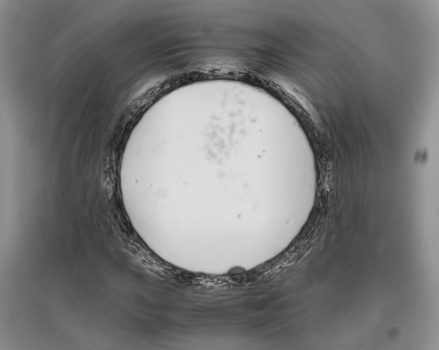 X0000097301015200803141527
