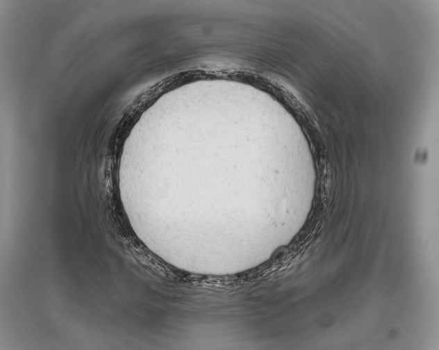 X0000097301016200803141527