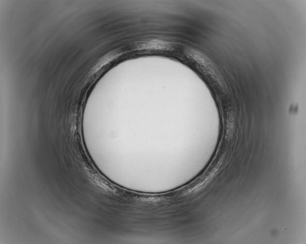 X0000097301017200803141527