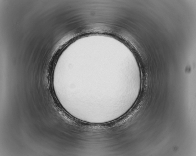 X0000097301018200803141527