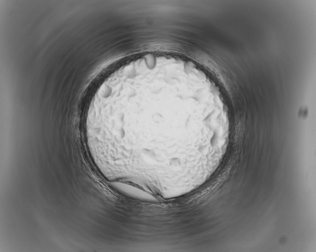 X0000097301019200803141527