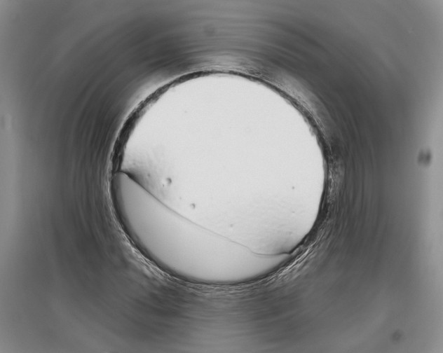 X0000097301020200803141527