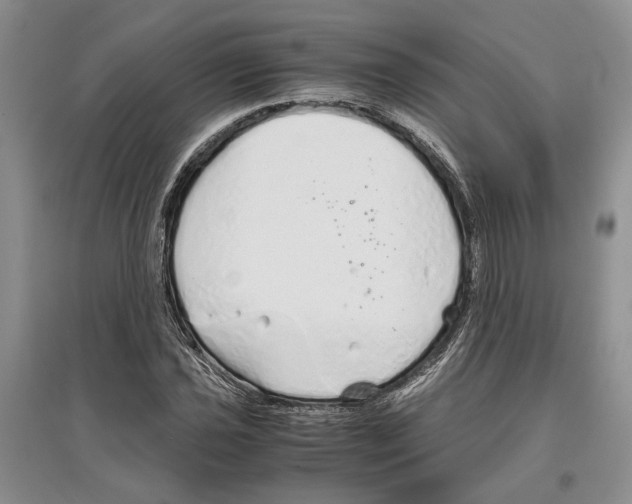 X0000097301021200803141527