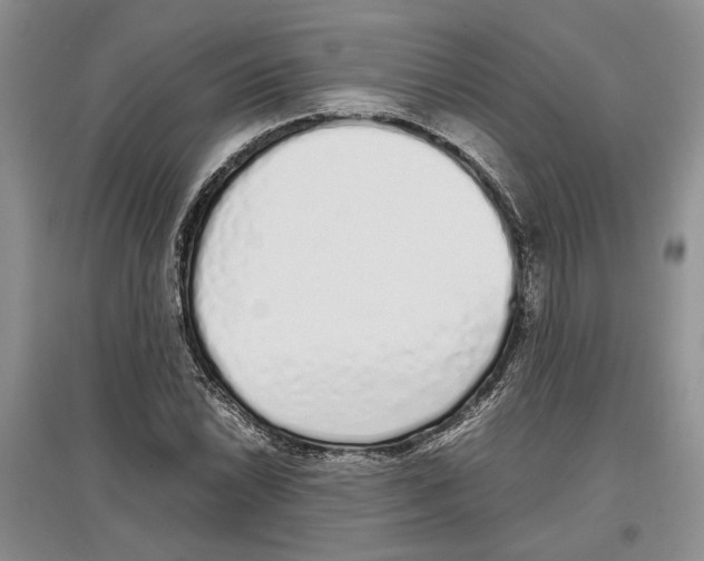 X0000097301022200803141527