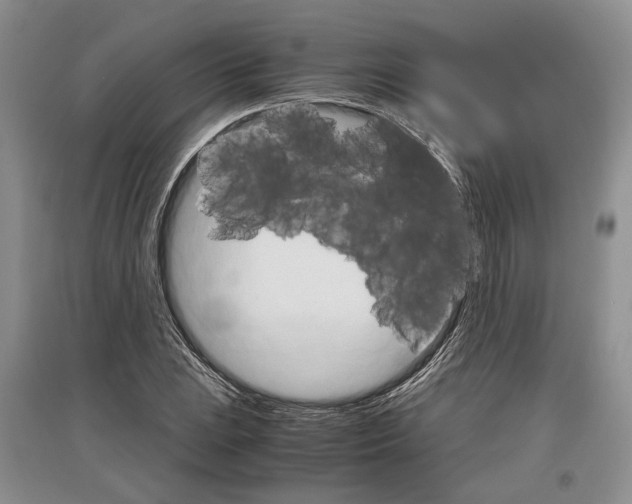 X0000097301023200803141527