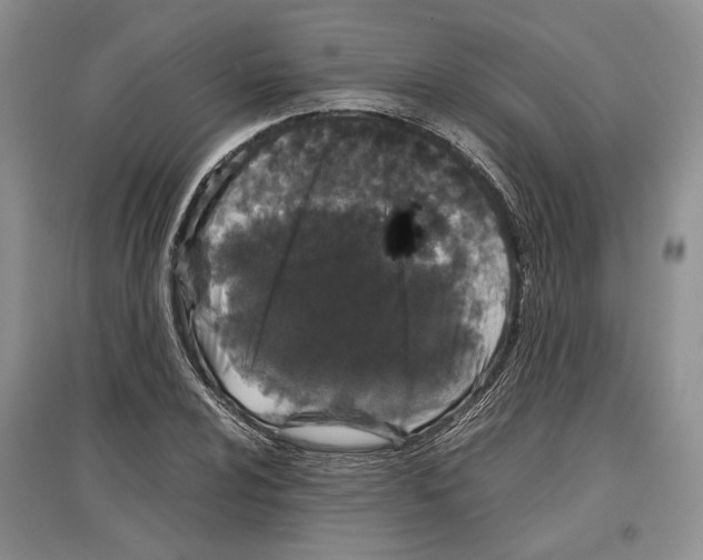 X0000097301024200803141527