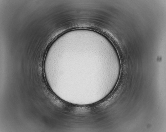 X0000097301025200803141527