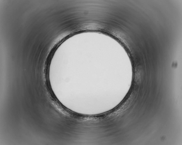 X0000097301026200803141527