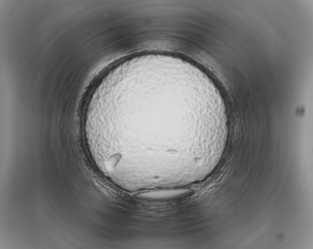 X0000097301027200803141527