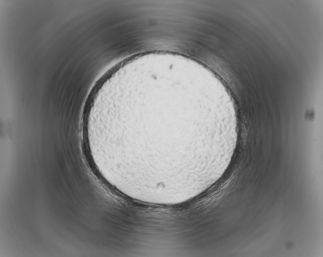 X0000097301028200803141527