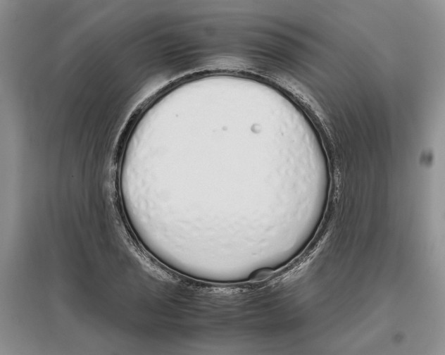 X0000097301029200803141528