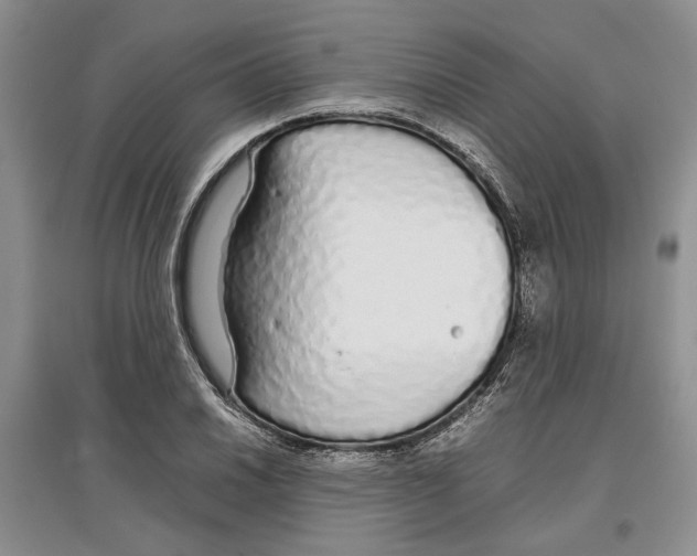 X0000097301030200803141528