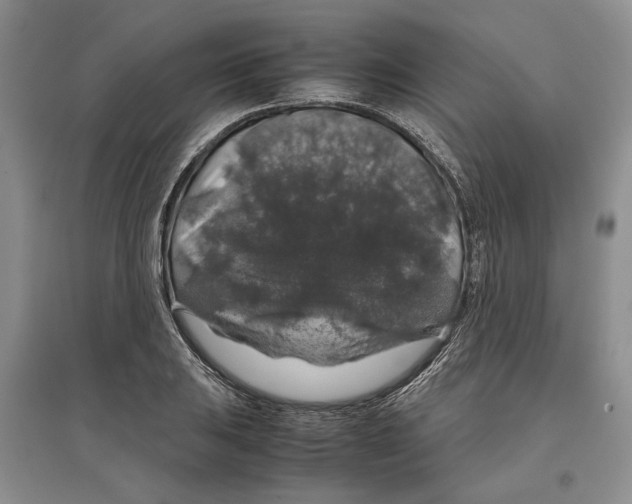 X0000097301031200803141528
