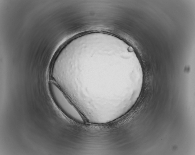 X0000097301032200803141528