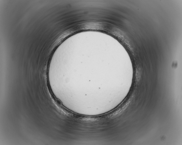 X0000097301033200803141528
