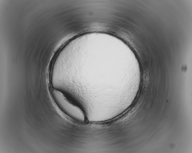X0000097301034200803141528