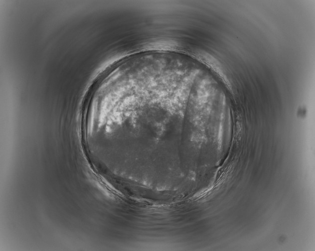 X0000097301035200803141528
