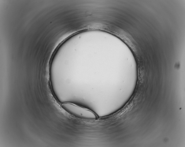 X0000097301036200803141528