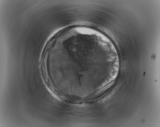 X0000097301037200803141528
