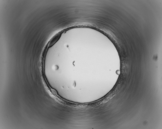 X0000097301038200803141528