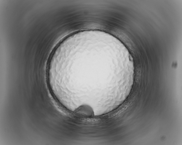 X0000097301039200803141528