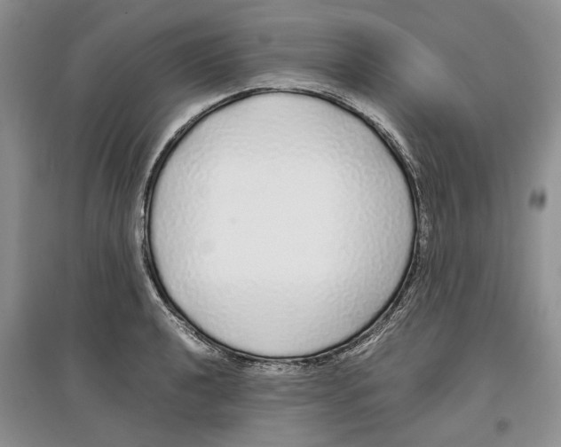 X0000097301040200803141528