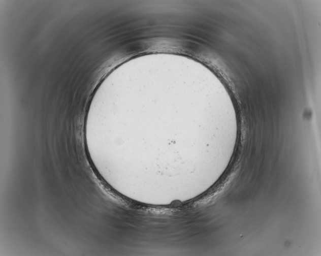 X0000097301041200803141528