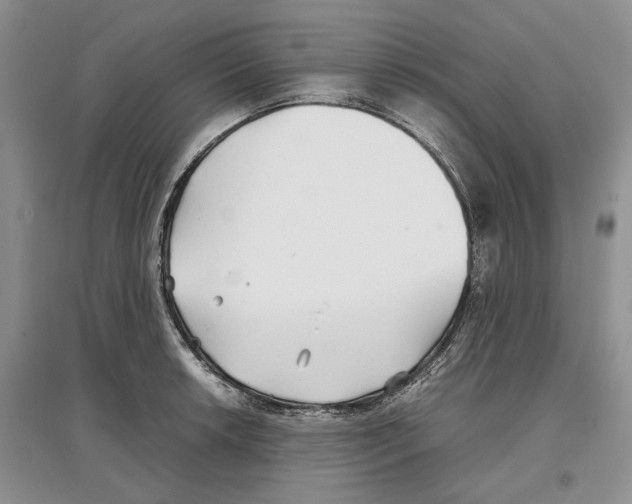 X0000097301042200803141528