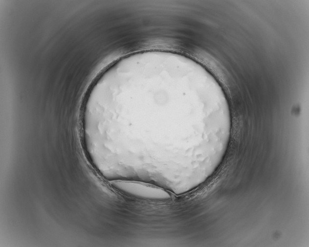 X0000097301043200803141528