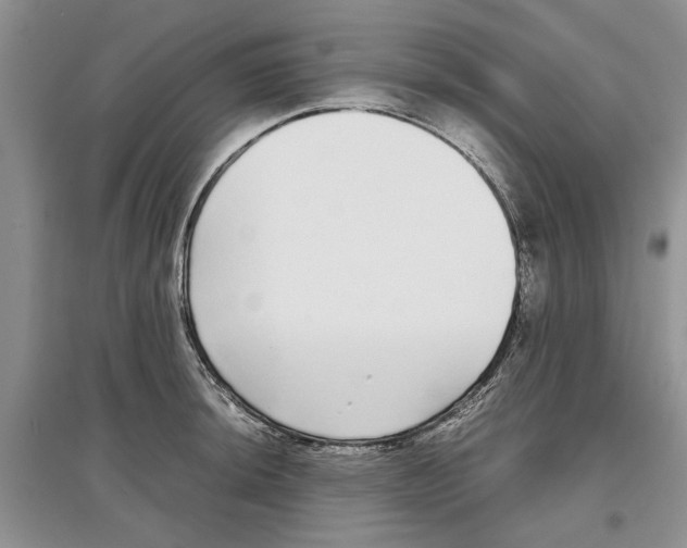 X0000097301044200803141528