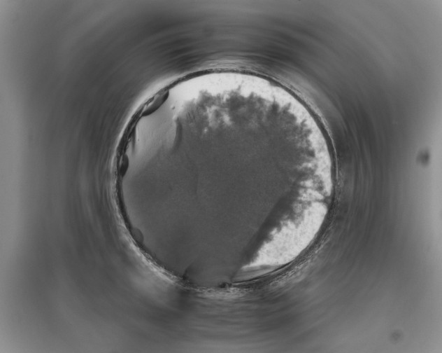 X0000097301045200803141528