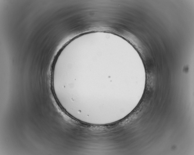 X0000097301046200803141528