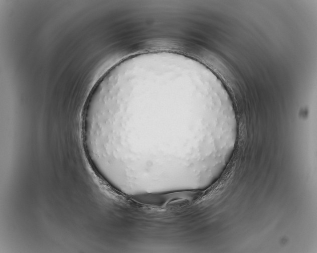 X0000097301047200803141528