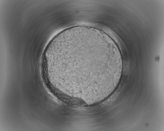 X0000097301048200803141528