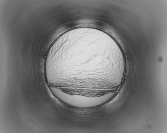 X0000097301049200803141528