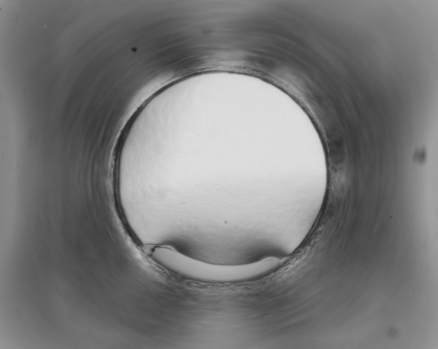X0000097301050200803141528