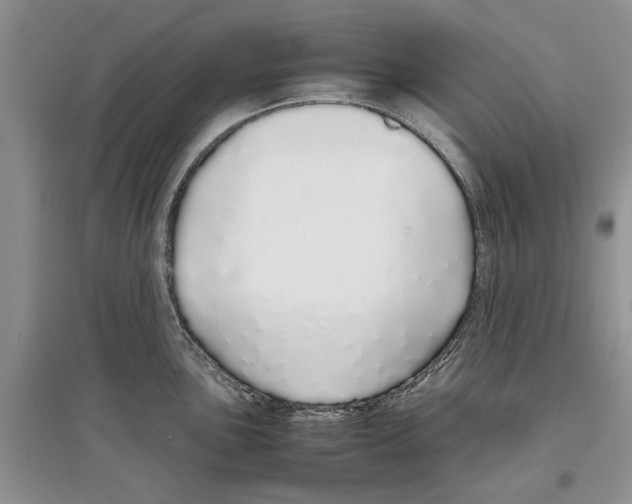 X0000097301051200803141528