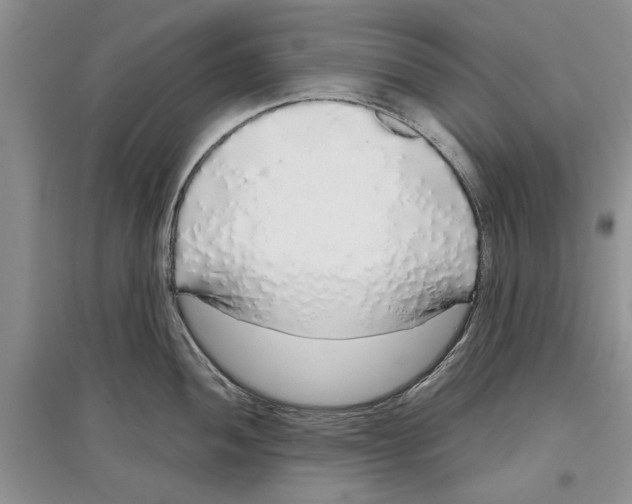 X0000097301052200803141528