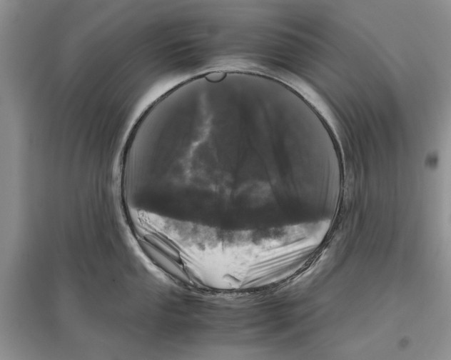 X0000097301053200803141528