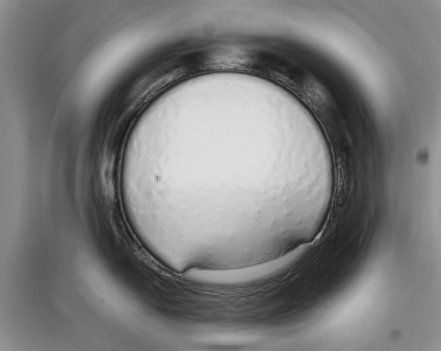 X0000097301054200803141528