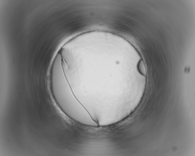 X0000097301056200803141528