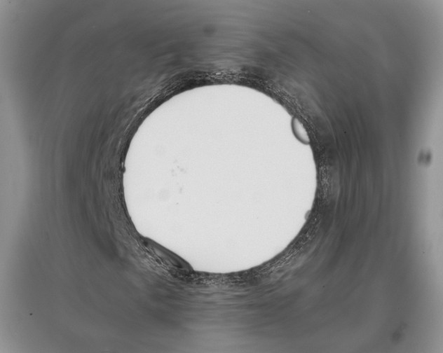 X0000097301057200803141527