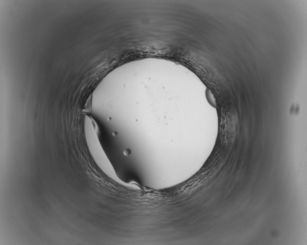 X0000097301058200803141527