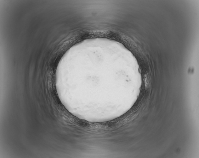 X0000097301059200803141527