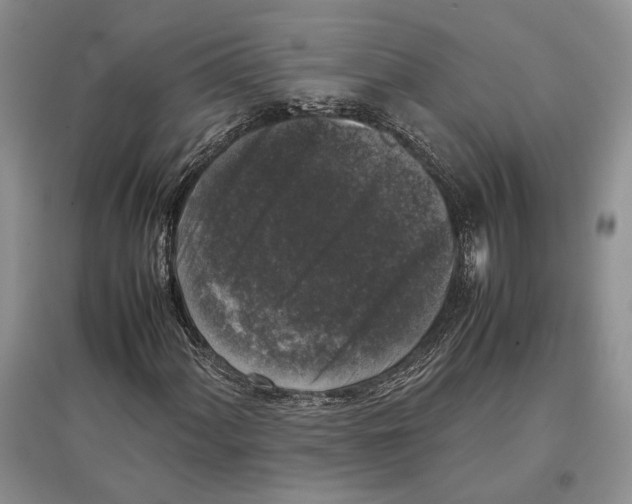 X0000097301060200803141527